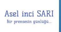 Asel inci Sarı Bir Prensesin günlüğü